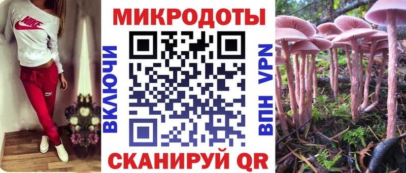 как найти закладки  Новосибирск  Псилоцибиновые грибы Magic Shrooms 